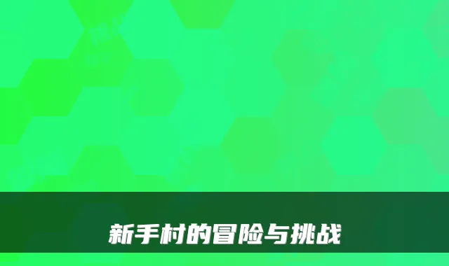 新手村的冒险与挑战