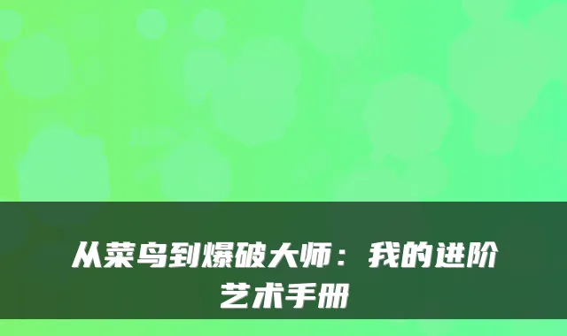 从菜鸟到爆破大师：我的进阶艺术手册