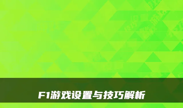 F1游戏设置与技巧解析