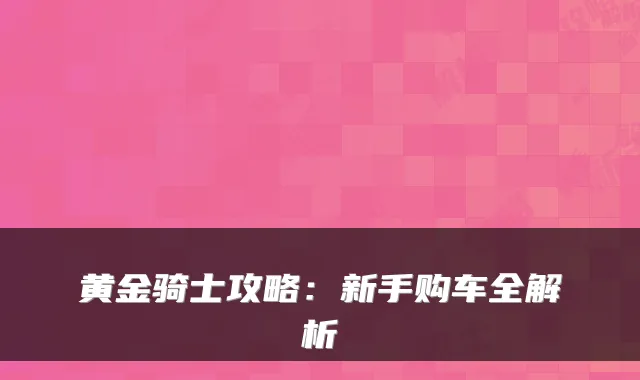 黄金骑士攻略:新手购车全解析