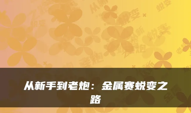 从新手到老炮：金属赛蜕变之路