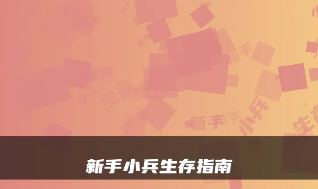 新手小兵生存指南