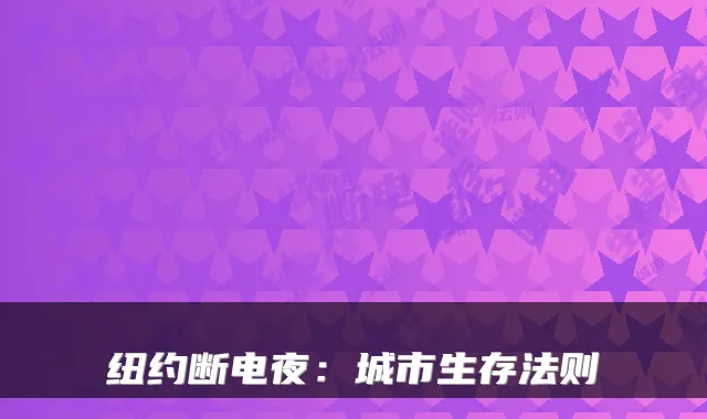 纽约断电夜：城市生存法则