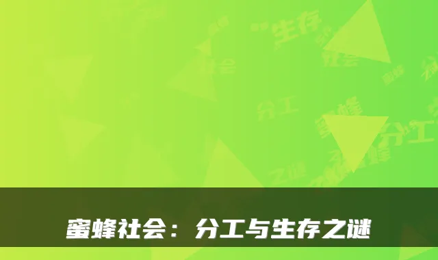 蜜蜂社会：分工与生存之谜