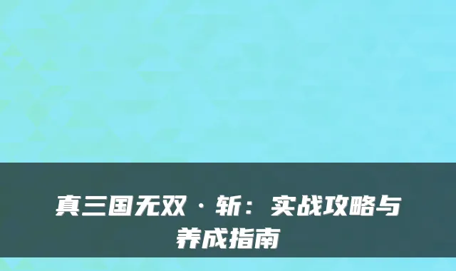 真三国无双·斩：实战攻略与养成指南