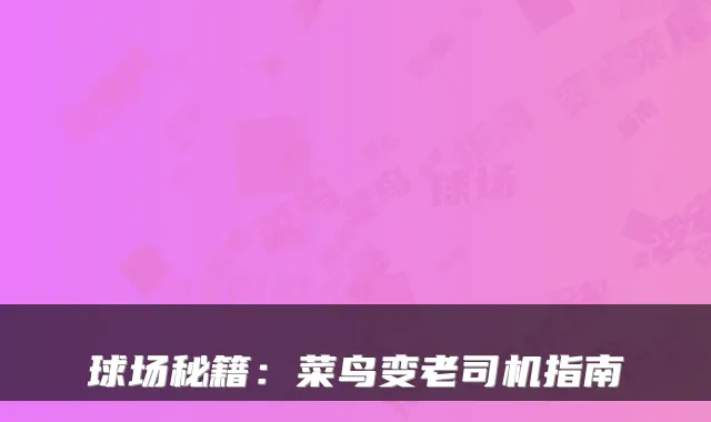 球场秘籍：菜鸟变老司机指南