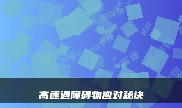 高速遇障碍物应对秘诀