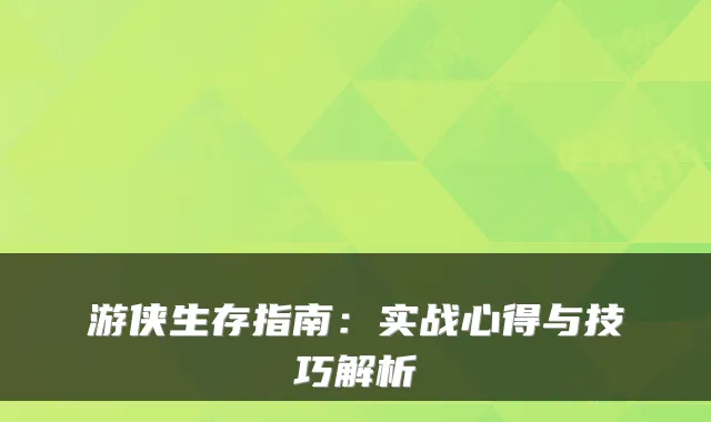 游侠生存指南:实战心得与技巧解析