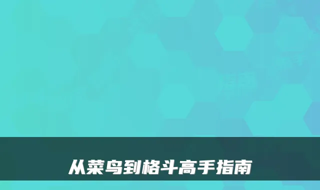 从菜鸟到格斗高手指南