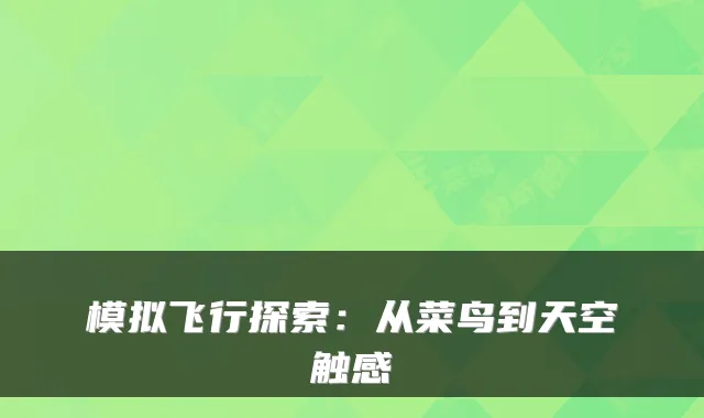 模拟飞行探索:从菜鸟到天空触感