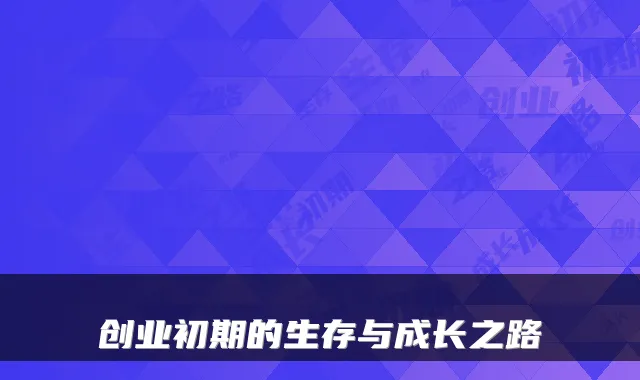 创业初期的生存与成长之路