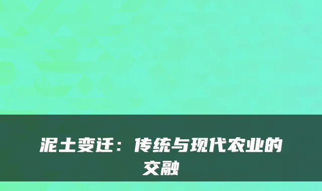 泥土变迁：传统与现代农业的交融