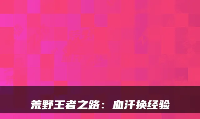 荒野王者之路：血汗换经验