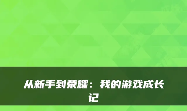 从新手到荣耀：我的游戏成长记