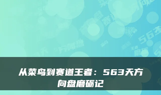 从菜鸟到赛道王者：563天方向盘磨砺记