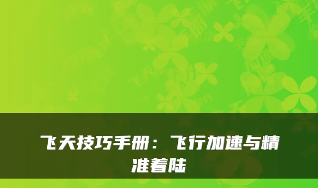 飞天技巧手册：飞行加速与精准着陆