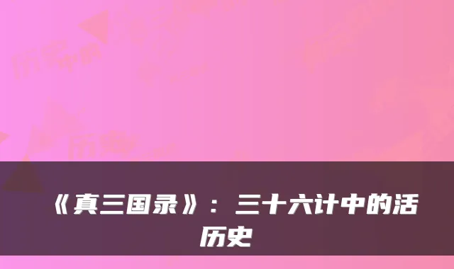 《真三国录》:三十六计中的活历史