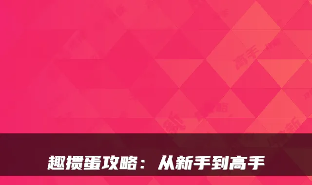 趣掼蛋攻略：从新手到高手