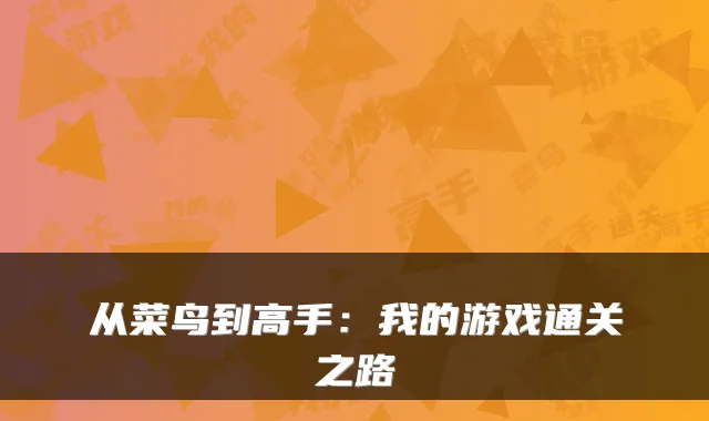 从菜鸟到高手:我的游戏通关之路