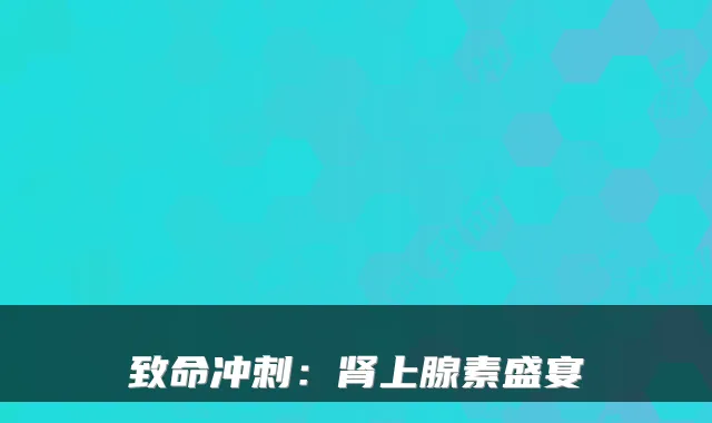 致命冲刺:肾上腺素盛宴