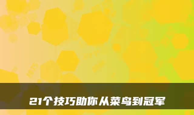 21个技巧助你从菜鸟到冠军