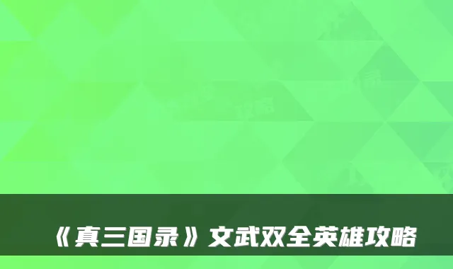 《真三国录》文武双全英雄攻略