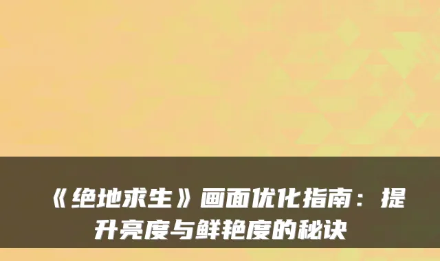 《绝地求生》画面优化指南:提升亮度与鲜艳度的秘诀