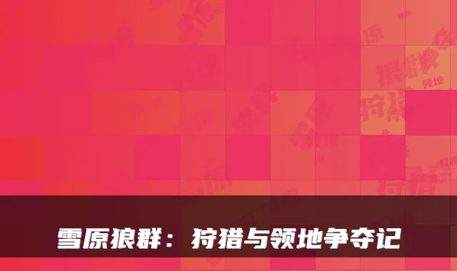 雪原狼群：狩猎与领地争夺记
