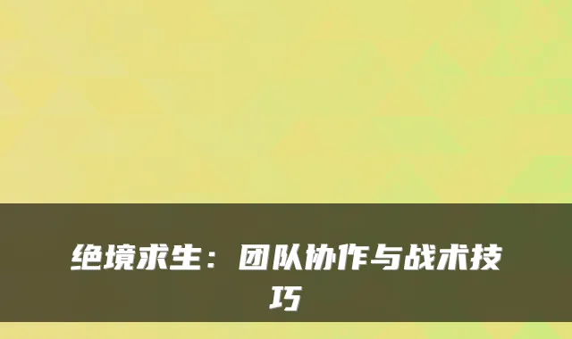 绝境求生：团队协作与战术技巧