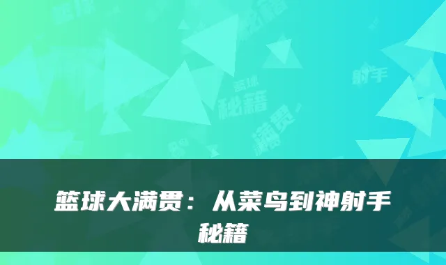 篮球大满贯：从菜鸟到神射手秘籍