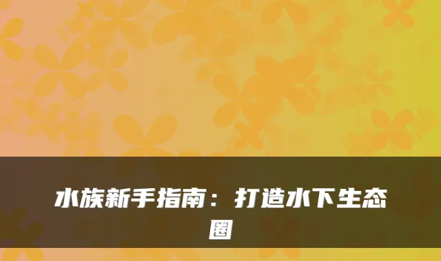 水族新手指南：打造水下生态圈