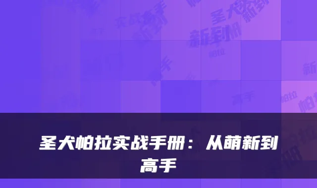 圣犬帕拉实战手册：从萌新到高手