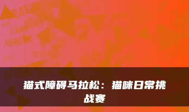 猫式障碍马拉松:猫咪日常挑战赛