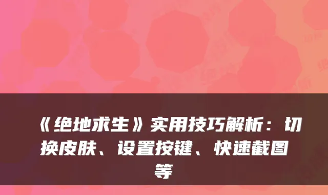 《绝地求生》实用技巧解析：切换皮肤、设置按键、快速截图等