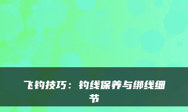 飞钓技巧：钓线保养与绑线细节