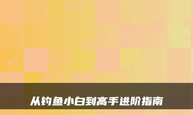 从钓鱼小白到高手进阶指南
