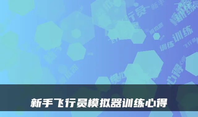 新手飞行员模拟器训练心得