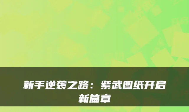 新手逆袭之路：紫武图纸开启新篇章