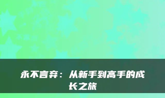 永不言弃:从新手到高手的成长之旅