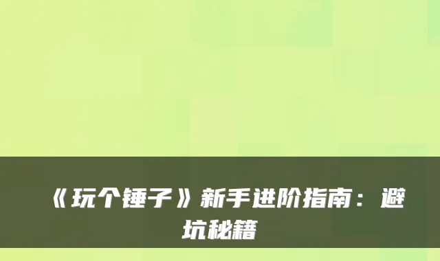 《玩个锤子》新手进阶指南：避坑秘籍