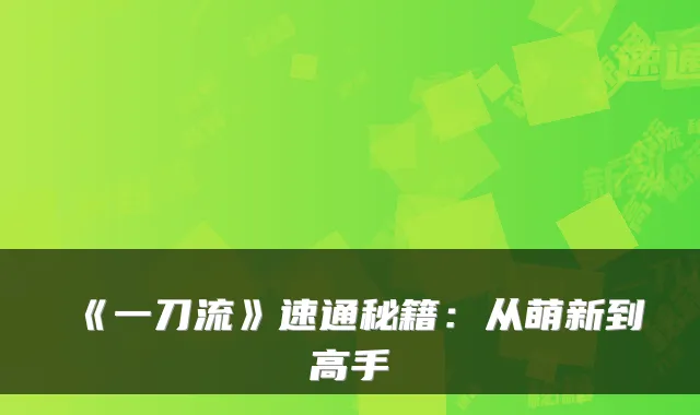 《一刀流》速通秘籍：从萌新到高手