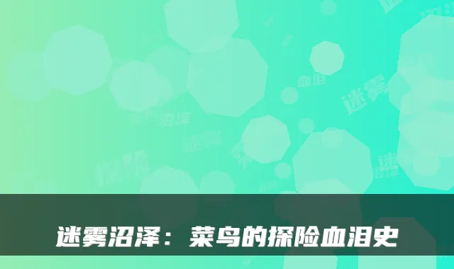 迷雾沼泽:菜鸟的探险血泪史