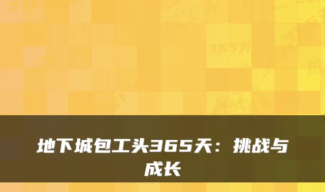 地下城包工头365天:挑战与成长
