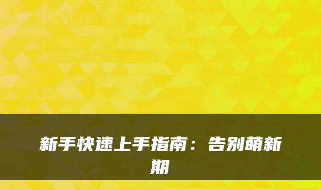新手快速上手指南：告别萌新期