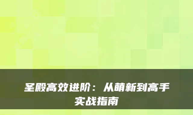 圣殿高效进阶：从萌新到高手实战指南