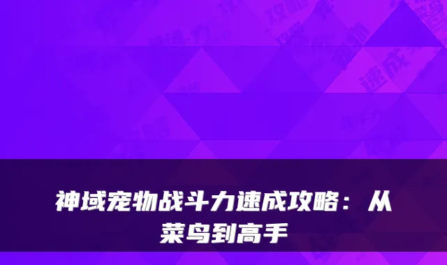 神域宠物战斗力速成攻略：从菜鸟到高手