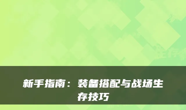 新手指南：装备搭配与战场生存技巧