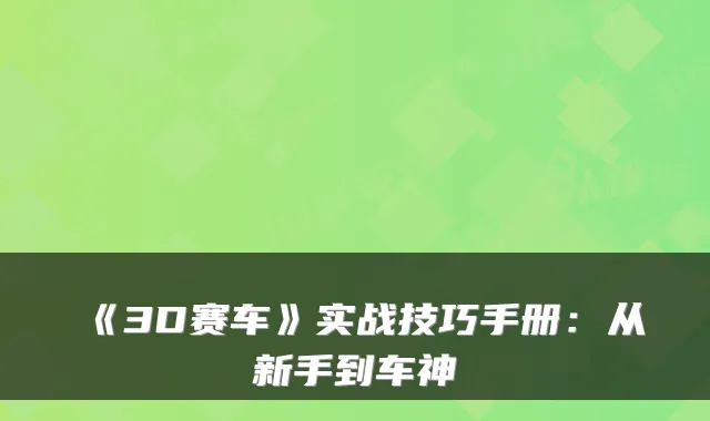 《3D赛车》实战技巧手册:从新手到车神