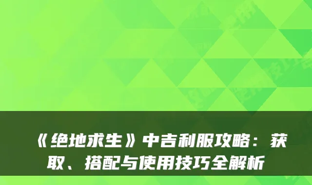 《绝地求生》中吉利服攻略：获取、搭配与使用技巧全解析