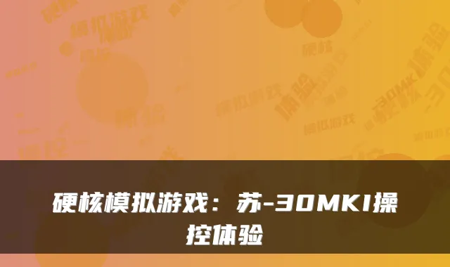 硬核模拟游戏:苏-30MKI操控体验